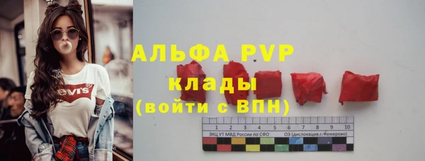 PSILOCYBIN Баксан