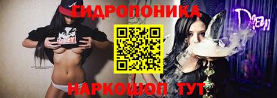 apvp Краснознаменск