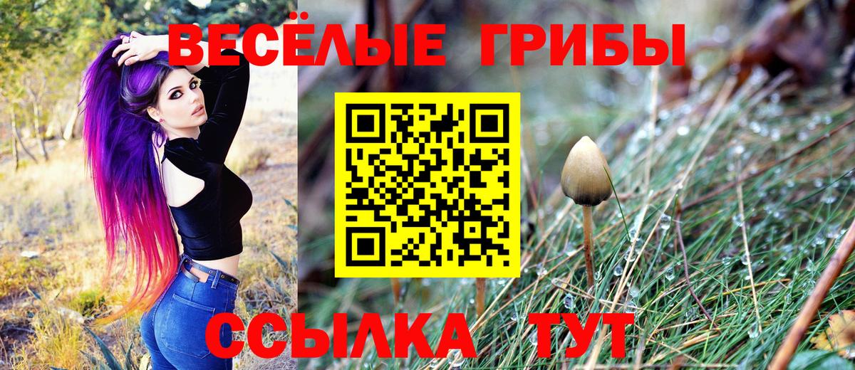 Корсаков  Галлюциногенные грибы Psilocybine cubensis  Вход с VPN 