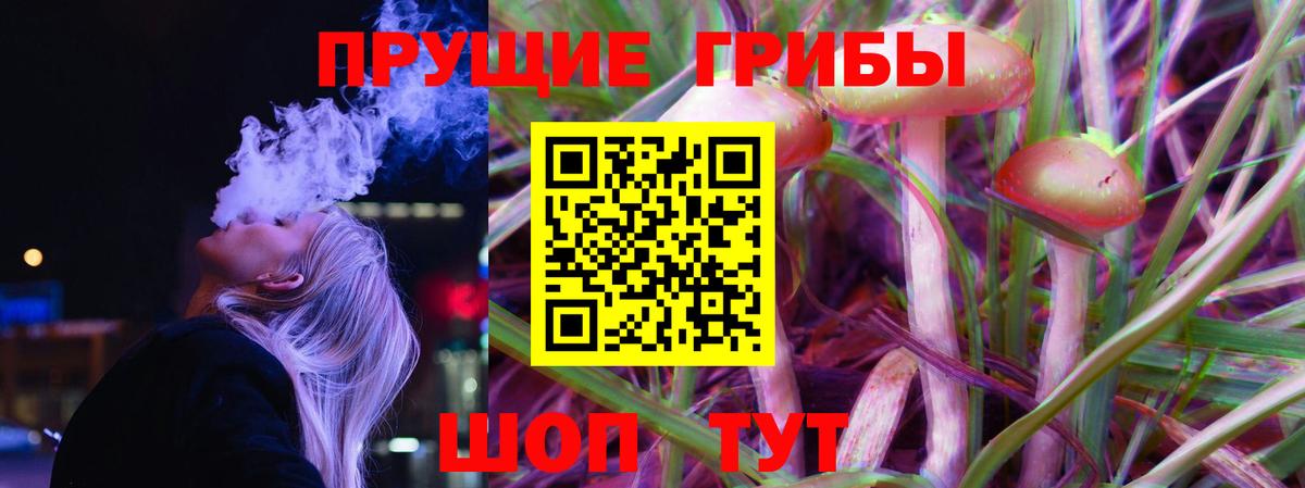 Галлюциногенные грибы мицелий Корсаков