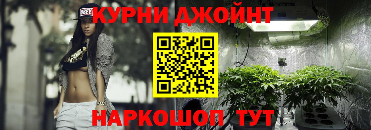 Шишки марихуана гибрид Корсаков